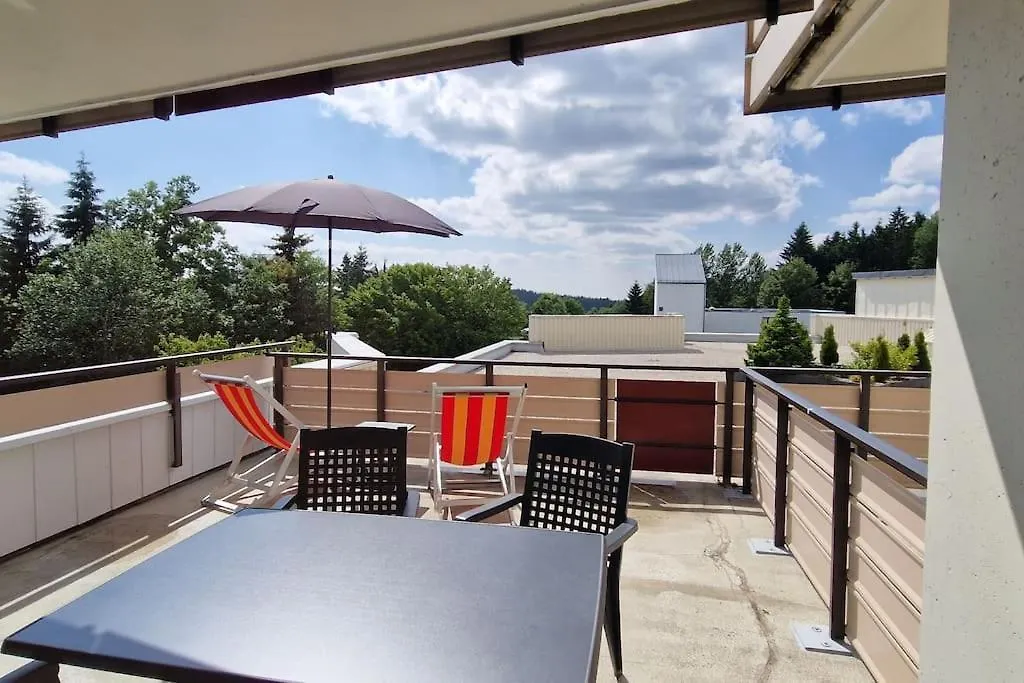 Apartment Sauna, Pools Mit Xxl-Terasse Oder Kinderkino Sankt Englmar Germany