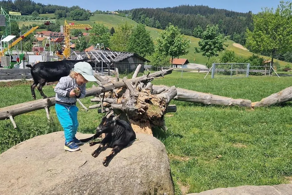 Sauna, Pools Mit Xxl-Terasse Oder Kinderkino Sankt Englmar